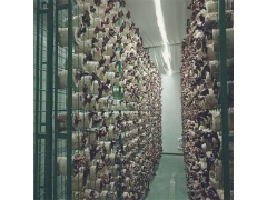 食用菌网架网格a食用菌网架网格a食用菌网架网格厂家现货海南图3