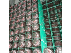 食用菌养菌架a深圳食用菌养菌架a食用菌养菌架现货厂家图1