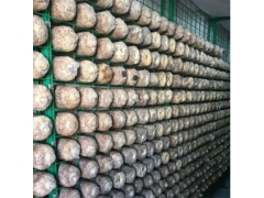 食用菌网架网格a海南食用菌网架网格a食用菌网架网格生产厂家图1