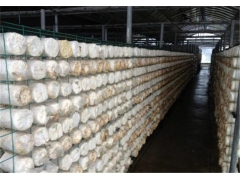 食用菌网架网格a吉林食用菌网架网格a食用菌网架网格生产厂家图3