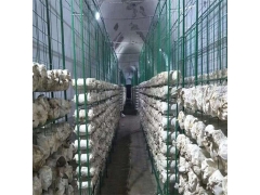 食用菌网架网格a江西食用菌网架网格a食用菌网架网格生产厂家图3