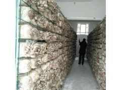 食用菌网架网格a九江食用菌网架网格a食用菌网架网格生产厂家图2