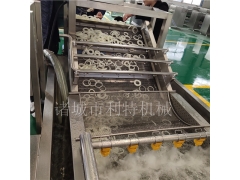 洋葱圈清洗漂烫线 ?洋葱圈高压气泡清洗机 洋葱圈清洗机图3