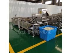 蔬菜全自动清洗生产线 香椿高压气泡清洗机 茄子喷淋清洗机图1