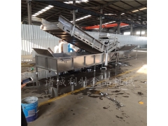 蔬菜全自动清洗生产线 香椿高压气泡清洗机 茄子喷淋清洗机图2