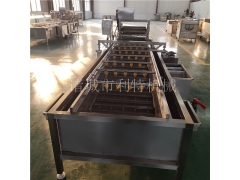 蔬菜全自动清洗生产线 香椿高压气泡清洗机 茄子喷淋清洗机图3