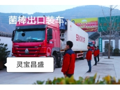 香菇菌棒厂家 立夏时节 香菇菌棒长势喜人 优质香菇菌棒厂家图3