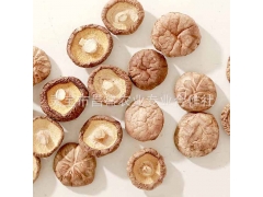 干香菇   河南昌盛干香菇批发价格厂家直销图1