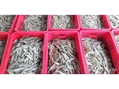 深圳市乔丰塑胶实业有限公司图3