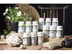 体弱久病春芝堂舒荣猴头菇食用菌是您康复强壮图1