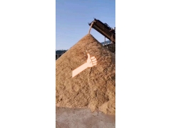 大量出售木屑图1