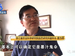 “墙角长蘑菇吓哭女业主”后续：国家级菌菇专家带你走近科学 ()