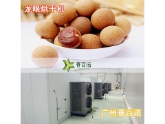 一种节能龙眼烘干机 龙眼干燥设备热风循环烘箱图2