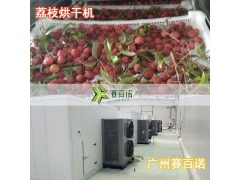 龙眼荔枝烘干机规格齐全 茂名荔枝烘干机现货供应图2