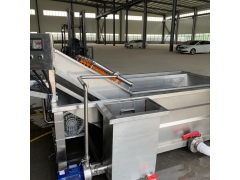 枸杞多功能气泡清洗机臭氧消毒筛网除杂图1