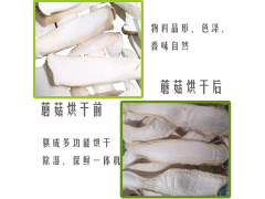 松茸热泵烘干机烘干箱小型干燥烘箱图3