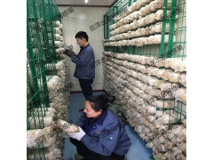 大棚食用菌网格架 蘑菇网片生产厂家 涂塑出菇房网架图3