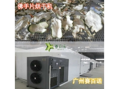 2020新一代空气能佛手片烘干机图2