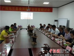 革命老区广西东兰研讨食用菌产业扶贫 ()