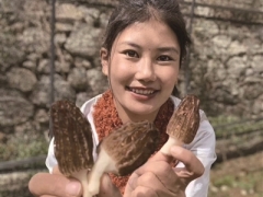 95后“松茸西施”卓玛走红 ()