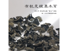 梵天菌业领头菌印江土家族苗族自治县黑木耳秋木耳12g*10罐图2