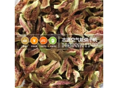 新升级热泵水果干烘干机没有点真才实学怎么行图3