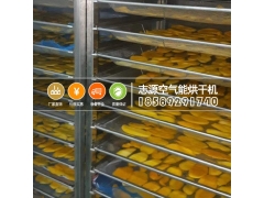 价格实惠厂家水果干烘干机烘干箱运行原理图3