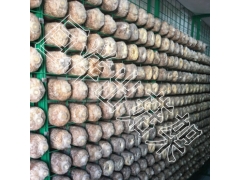 蘑菇架 平菇出菇网格架 猴头菇出菇网架 杏鲍菇网格图2
