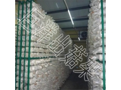 蘑菇出菇网架 贵州食用菌网格 浸塑蘑菇养殖网片图1