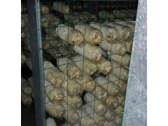 平菇网格架金针菇养菌架养菌层架出菇架养殖菌菇铁丝网格图2