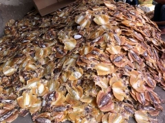 墨鱼干厂家墨鱼干供应商墨鱼干生产厂家墨鱼干一手货图3