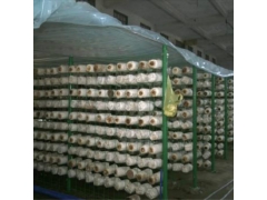 贵州菌棒网格架室内菌类网格网架网格养菌室图3