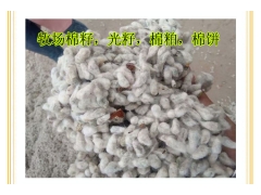 饲料用麦麸皮,全麦粉食用菌专用全麦次粉,杂粮次粉三级面粉麸皮图3