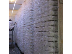 食用菌出菇网格 安徽省食用菌出菇架 平菇专用架子图3
