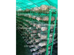 食用菌出菇网架蘑菇养菌层架图1