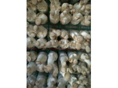 食用菌网格架,出菇架,培养架靠谱厂家图1