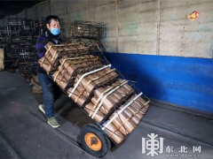 新春开工 森林食用菌迎来发展的春天 ()