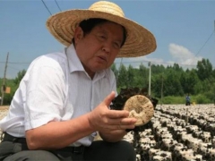 “蘑菇院士”李玉：食用菌强国不是梦 ()