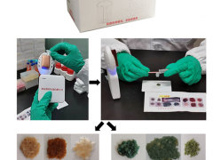 昆明植物所研发出鹅膏环肽毒素剧毒蘑菇快速检测试剂盒 ()
