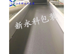 皮带输送机 新永科非标定制 输送机厂家图2