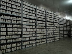 红托菌（种）棒、黑木耳棒、玉木耳棒、其他菌（种）棒定制加工图1