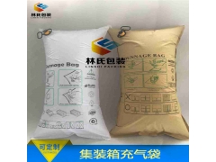 集装箱充气袋，缓冲气袋，集装箱固定袋图2