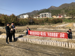 湖北房县：十堰市农科院院长周华平前往房县考察食用菌种植情况 ()