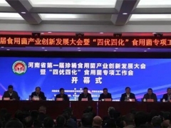 产业发展新格局 河南省第一届珍稀食用菌产业创新发展大会在宝丰召开 ()