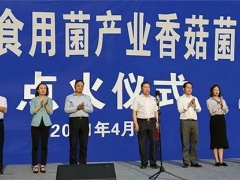 晴隆县晴秦食用菌农银企产业共同体创新试点项目一期竣工点火 ()