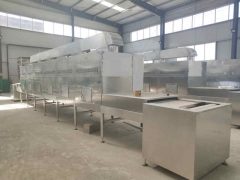 隧道式微波坚果烘烤杀菌设备图2