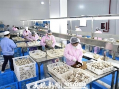 贵州省食用菌产业发展目标增长10%以上 ()