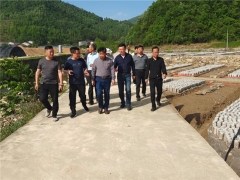 湖北省农业科学院领导调研指导房县天禾食用菌专业合作社黑木耳种植情况 ()