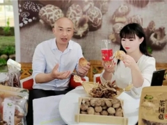 宜昌茅坪场镇：电商直播助力香菇销售驶入“快车道” ()