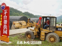 捐赠100万元扩建10个食用菌大棚！道真这个茅台帮扶园多了四川经销商的爱心力量 ()
